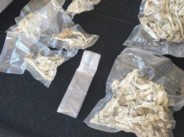 Florida Man Tries To Sell Magic Mushrooms From His Uber To Narcotics Officers Conference Attendees