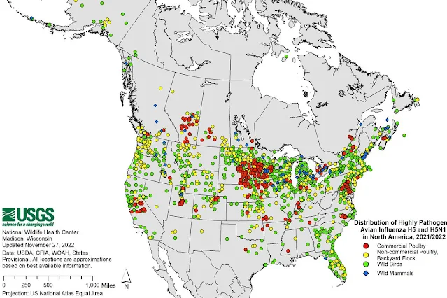 Distribution of Highly Pathogenic Avian Influenza H5 and H5N1 in North America. Credit: USGS