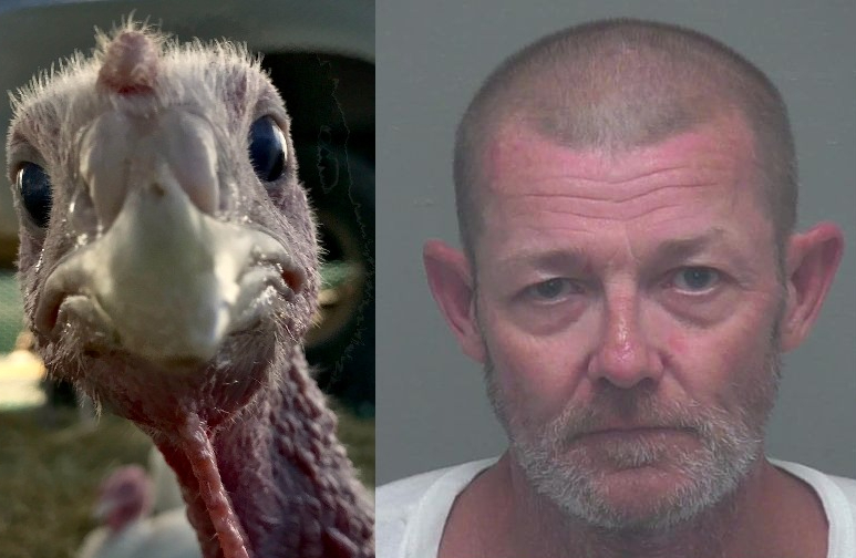 Florida Man Charged With Stalking After Blasting Turkey Calls At Neighbor