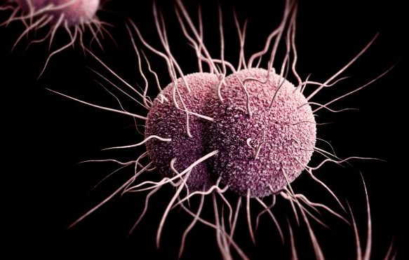 Study: Florida Cities With The Most STDs