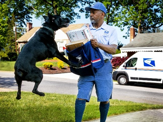 USPS: Florida Ranks No. 7 For Most Dog Attacks On Postal Carriers