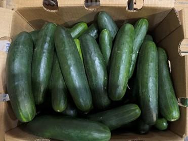 Florida Cucumber Recall For Salmonella Affects 14 States