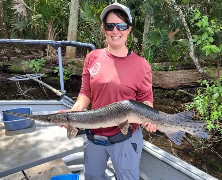 Florida Biologists Catch Crooked Fish