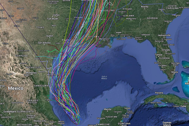 NHC: Invest 91L Projected Path To Texas, Spaghetti Models