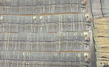 Volusia County Sheriff’s Office Seizes Drugs and Cash