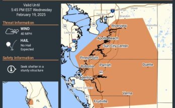 Special Weather Statement For SE Hillsborough, North Sarasota Counties