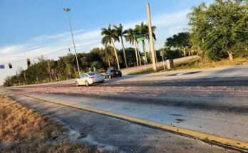Fish Mysteriously Dumped On Florida Road