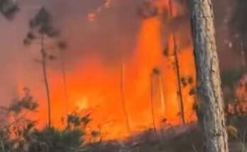 150 Acre Brush Fire In Martin County 100% Contained