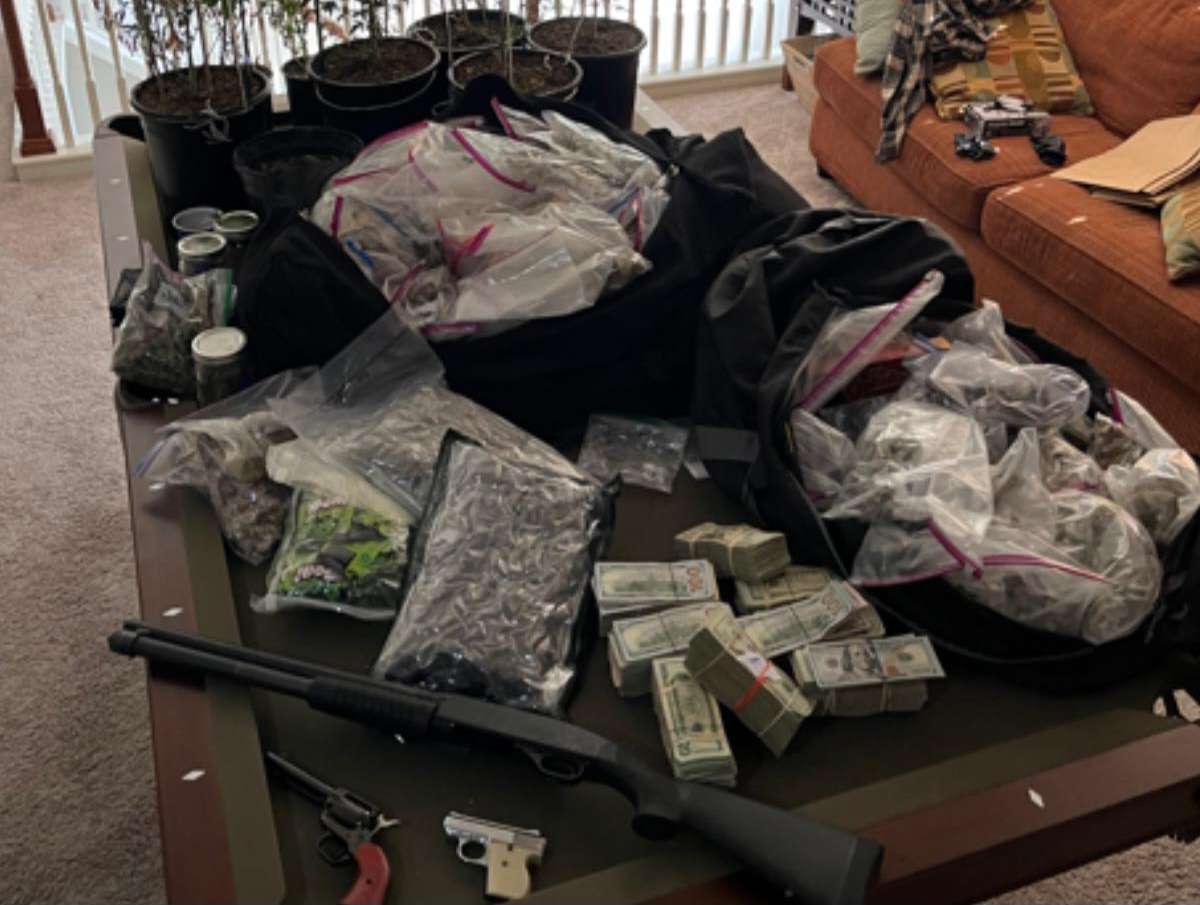 A pool table displays seized items including three firearms, stacks of U.S. currency, bags of suspected marijuana and psilocybin mushrooms, and drug paraphernalia, with potted marijuana plants in the background, inside a Saint Johns County residence. Caption: Evidence seized by SJSO, including firearms, cash, and drugs, found during a search of Alejandro Barzaga’s residence. (Credit: SJSO)