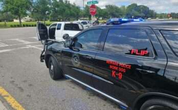 Lee County Murder Suspect Arrested In Pasco County