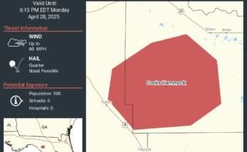 Severe Thunderstorm Warning Issued for Parts of Florida Big Bend