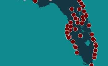 Anti-Trump, Musk “Hands Off” April 5 Protests Across Florida