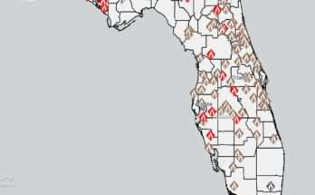 61 Wildfires Burned Across Florida This Week