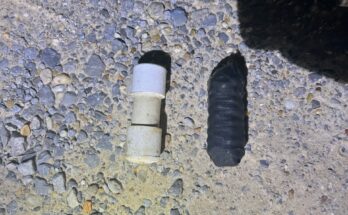 Florida Man Drives With “PRIVATE” Cardboard License Plate, Pipe Bombs, Meth