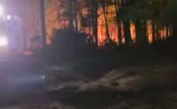 SE 1st Street Fire in Florida’s Ocala National Forest 75% Contained