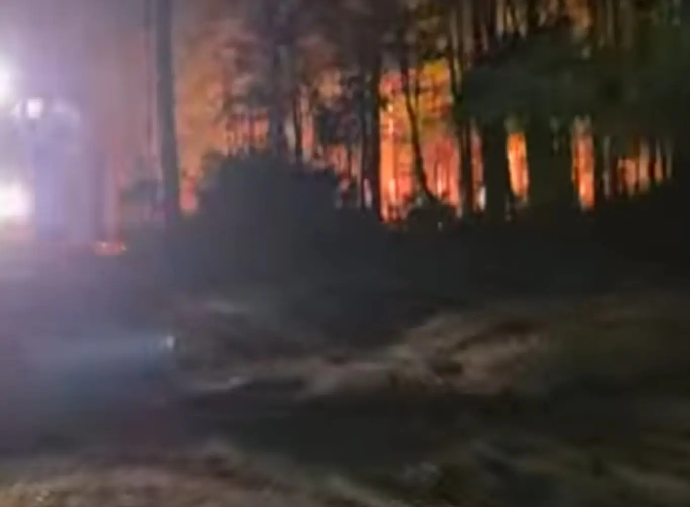 A nighttime scene of the SE 1st Street Fire in Ocala National Forest, showing a forested area illuminated by the orange glow of flames. Smoke and light create a hazy atmosphere among the trees.