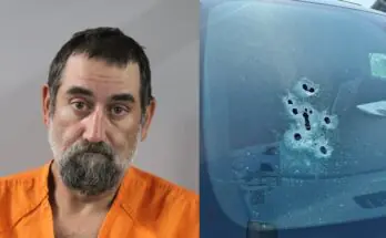 Florida Man Attacked By Alligator, Killed By Deputies