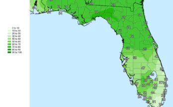 Thunderstorms, Heavy Rain Risk For Central Florida