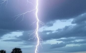 Florida Woman Struck By Lightning While Mowing Lawn