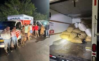 Illegal Immigrants Arrested For Stealng Florida Palmetto Berries