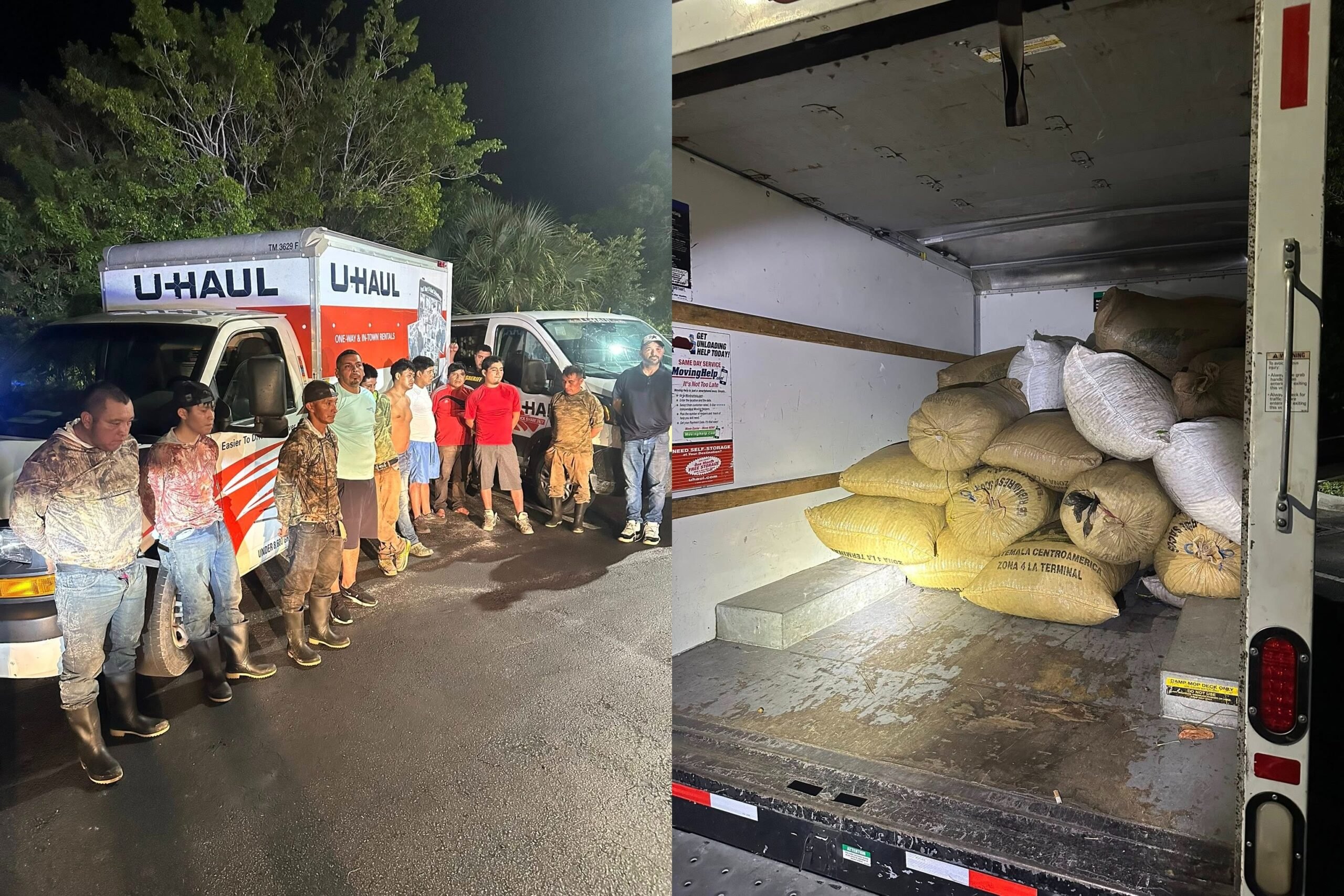 A split-image photo: On the left, eleven men stand in a line at night in front of a U-Haul rental truck, appearing detained by law enforcement, with some wearing camouflage clothing and rubber boots. On the right, the open rear of the U-Haul truck reveals a large pile of burlap and plastic sacks filled with harvested saw palmetto berries.