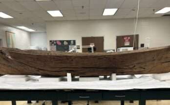 Mysterious Ancient Canoe Unearthed by Hurricane Ian Not Of U.S. Origin Say Florida Archaeologists