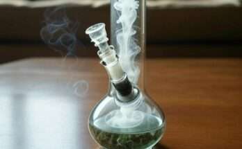 Florida Woman Charged With 72 Counts Of Marijuana Petition Fraud