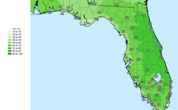 Heavy Rain, Windy For Florida Panhandle