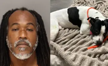 Florida Man Batters Teen Girl, Throws Dog Off Balcony