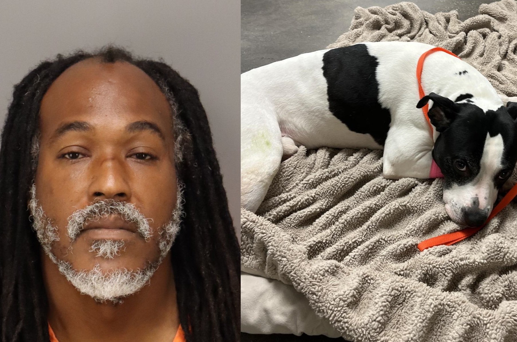 Nigel Alexander Myers allegedly threw a dog off of a balcony that was protecting a teenage girl from Myers.