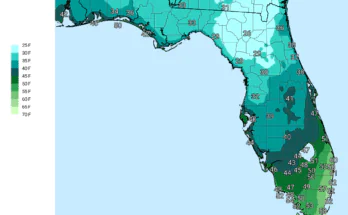 Arctic Blast Shatters Record Lows Across Florida on Veterans Day
