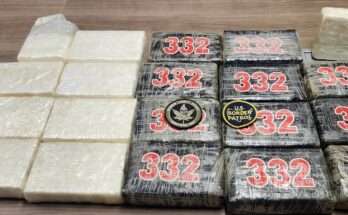 Florida Charter Boat Captain Arrested Trying To Sell Cocaine He Found