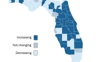 Florida Flu Activity Surges in Early 2026