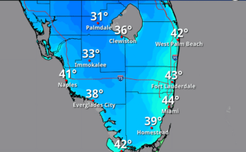 South Florida Braces for Rare Cold Snap: Freeze Warning Issued