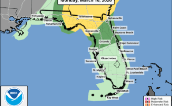 Severe Thunderstorm, Gusty Winds For North Florida