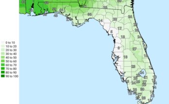 Severe Thunderstorm Risk For Florida Panhandle