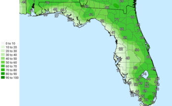 Thunderstorms, Flooding, Heavy Rain For North Florida
