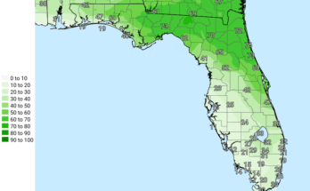 Strong Thunderstorms, Flooding, Heavy Rain For North Florida
