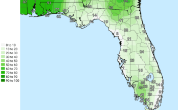 Thunderstorms, Heat, Rip Currents For North Florida