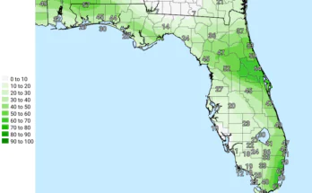 Thunderstorms, Gusty Winds, Flooding For East Central Florida
