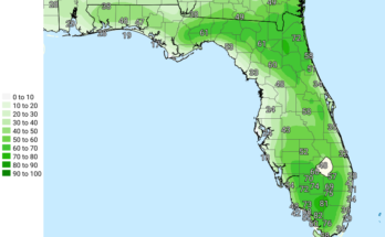 Thunderstorms, Flooding, Heavy Rain For North Florida