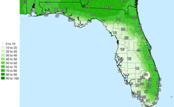 Thunderstorms, Heavy Rain For Florida Panhandle