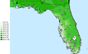Strong Thunderstorms, Heavy Downpours For North Florida