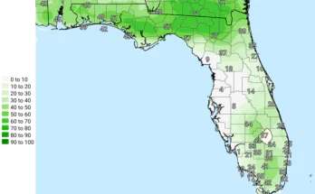 Strong Thunderstorms, Gusty Winds For North Florida