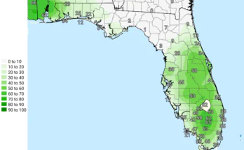 Thunderstorms, Heavy Rainfall For Central Florida