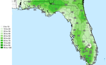 Strong Thunderstorms, Gusty Winds For North Florida