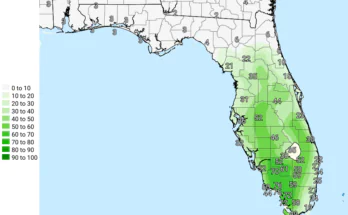 Thunderstorms, Heavy Downpours For Tampa Bay, Southwest Florida