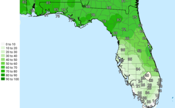 Thunderstorms, Excessive Rainfall Risk For Florida Panhandle and Big Bend