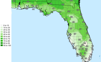 Severe Thunderstorms For North Florida