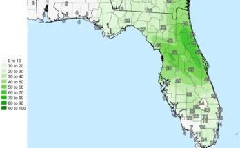 Severe Thunderstorms For North Florida